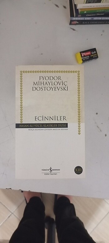 Ecinniler