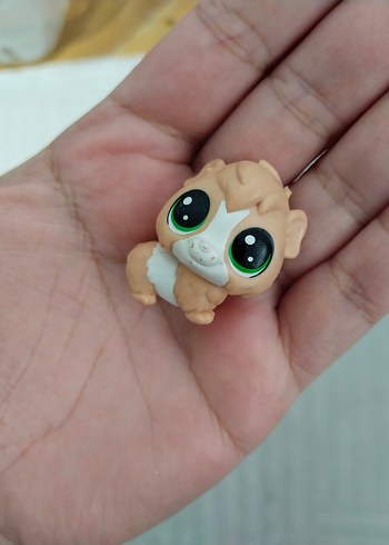 LPS MİNİŞLER - Görsel 3