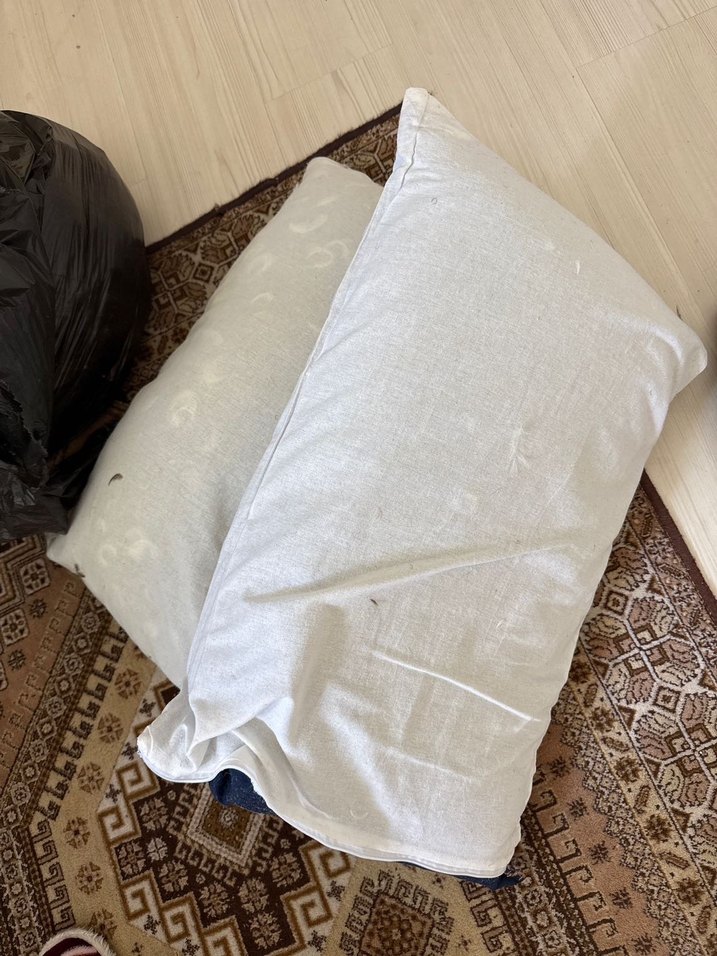 ACİLL SATILIK! Orijinal Kaz Tüyü Yastık - Görsel 2