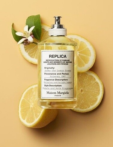 Maison Margiela Replica Under The Lemon Trees Visit