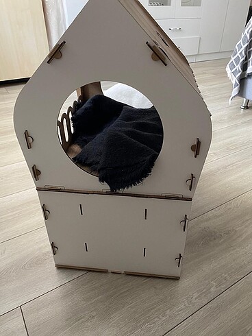  Kedi evi