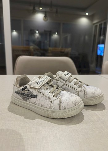 Walt Disney World 27