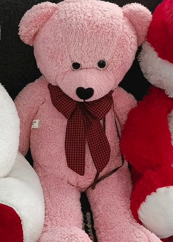 Pembe Peluş Ayıcık Oyuncak