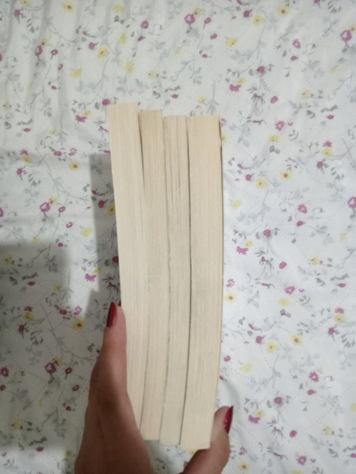 Sherlock Holmes Dedektif Kitap Seti 4'lü - Görsel 3