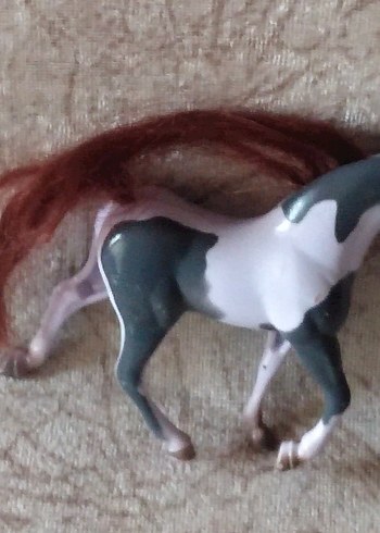 konik at uzun saçlı ve yelesi olan at
