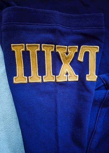 Mor Erkek Polo Tişört, Kısa Kollu, Nakışlı - Görsel 7