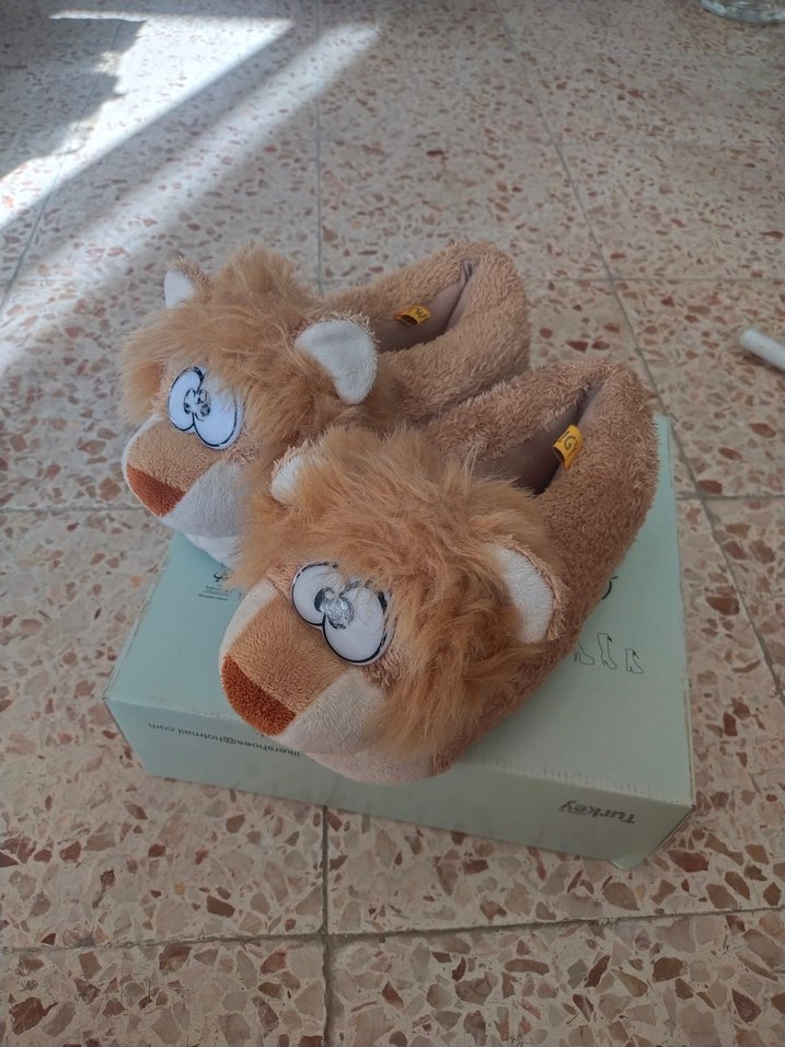 Köpek Panduf Ayakkabı Terliği - Görsel 2