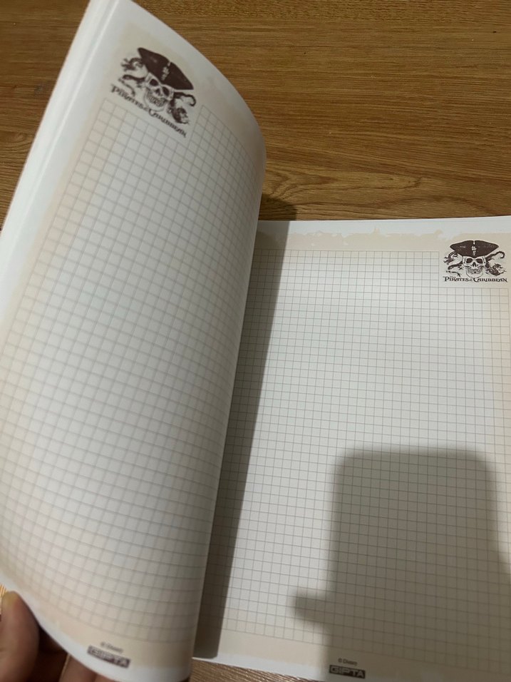 Karayip Korsan Temalı Kahverengi Defter - Görsel 4