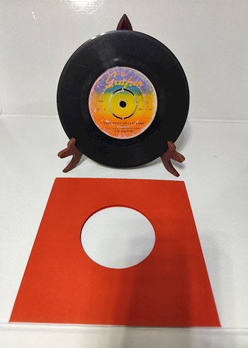 NURİ SESİGÜZEL 45'LİK PLAK SORUNSUZ - Görsel 2