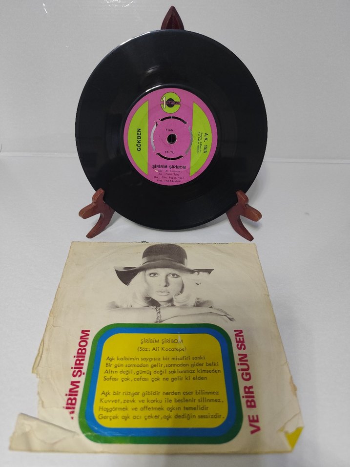 GÖKBEN 45'LİK PLAK TERTEMİZ - Görsel 2