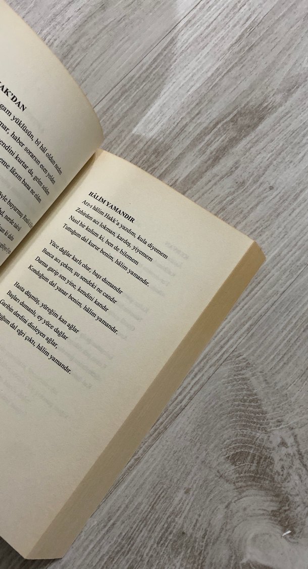 Serencâm - Şahver Çelikoğlu - Görsel 3