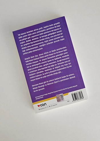 Gençlik Güzel Şey- Hermann Hesse - Görsel 2