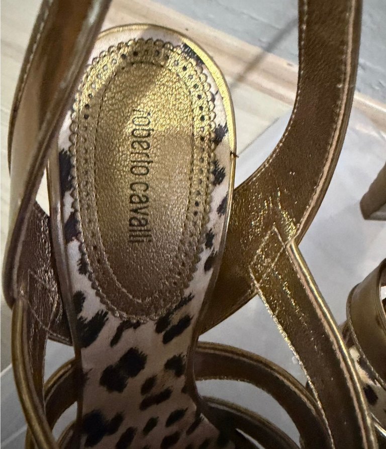 Roberto Cavalli — görsel 2/6