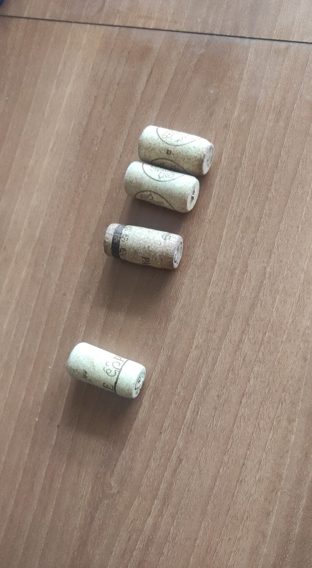 mantar kapaklar 4 tane - Görsel 2