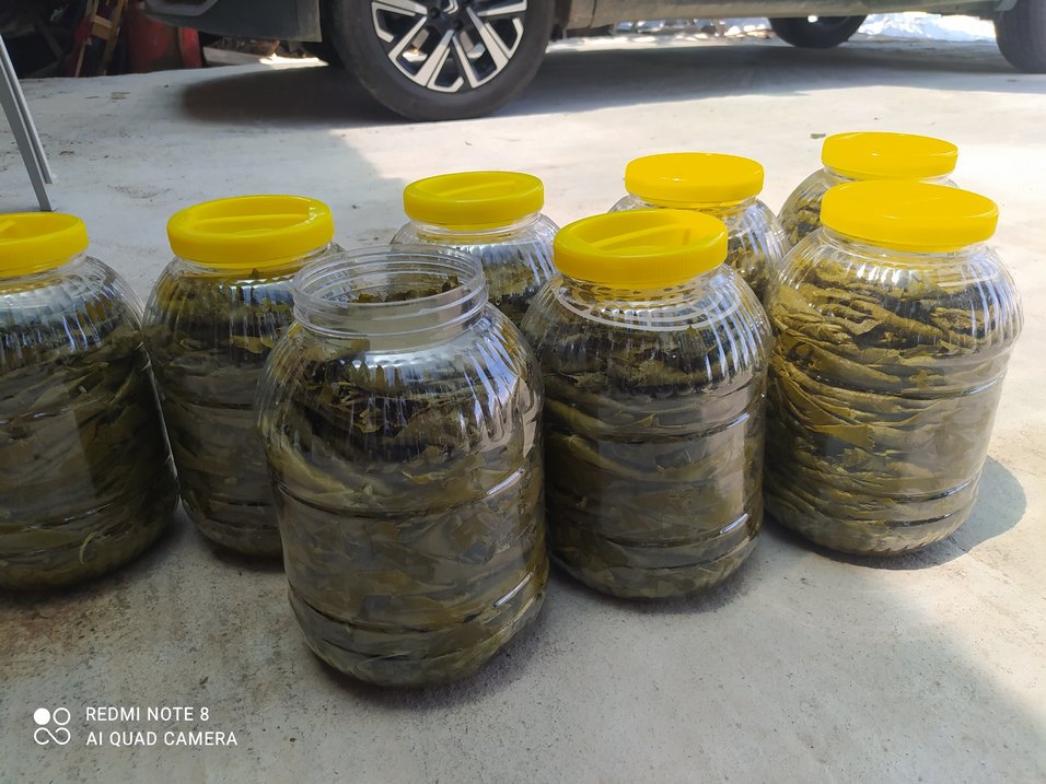 salamura yaprak - Görsel 2