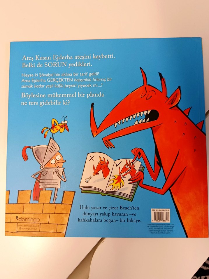 Alevini Kaybeden Ejderha - Çocuk Kitabı - Görsel 2