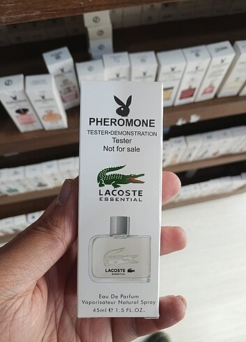 lacoste parfüm