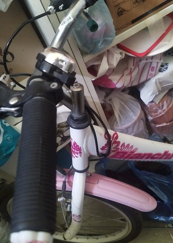 Pembe Bianchi Üç Tekerlekli Bisiklet - Görsel 3