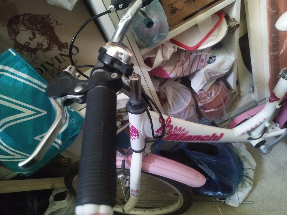 Pembe Bianchi Üç Tekerlekli Bisiklet - Görsel 3