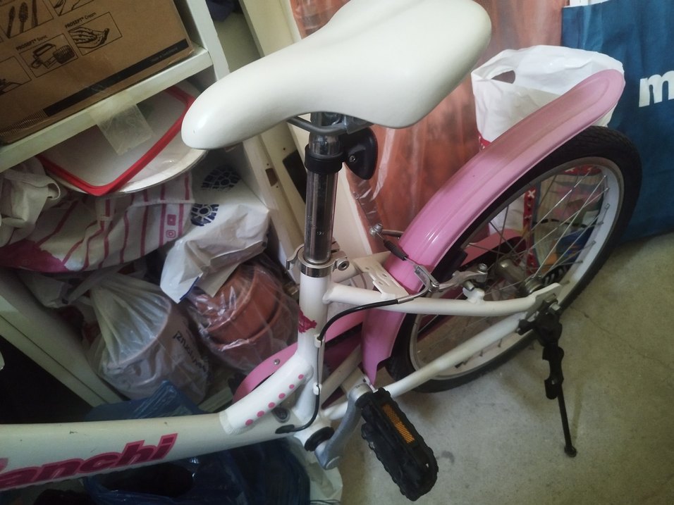 Pembe Bianchi Üç Tekerlekli Bisiklet - Görsel 4