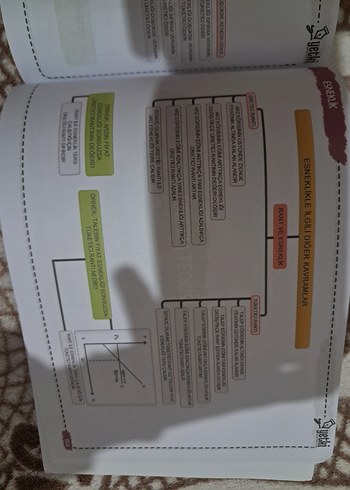 Mikro İktisat Planlayıcı Beyaz - Görsel 3