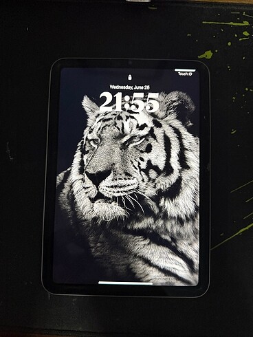 İPad Mini 6 (256)GB TR