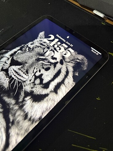 Beden Renk İPad Mini 6 (256)GB TR