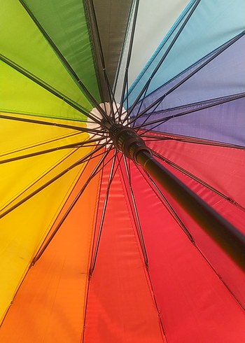 Renkli Pilili Kadın Şemsiye - Görsel 8