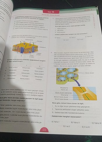 9. Sınıf Biyoloji Soru Kitabı - Görsel 5