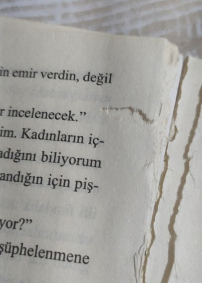 Sherlock Holmes zümrüt taç kitabı  - Görsel 2