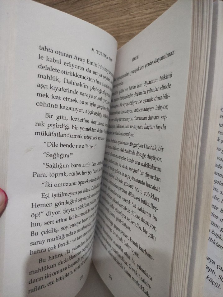 TiMUR - M. Turhan Tan - Görsel 2