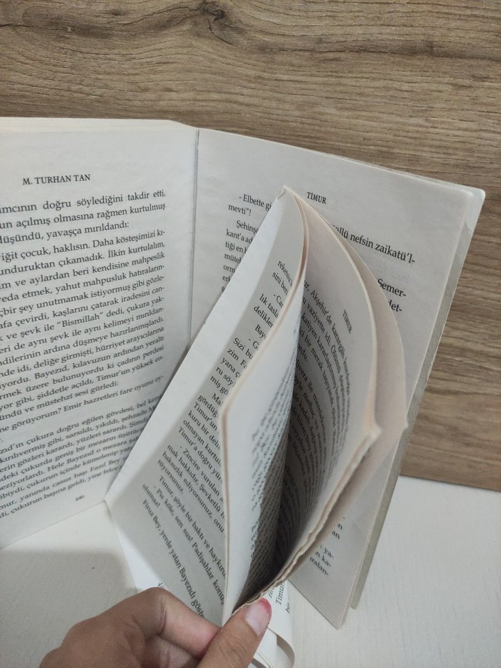 TiMUR - M. Turhan Tan - Görsel 3