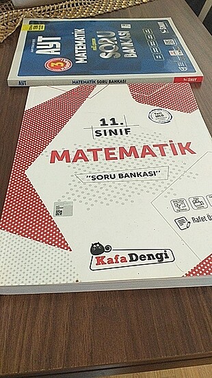 11. sınıf kafa dengi matematik soru bankasi