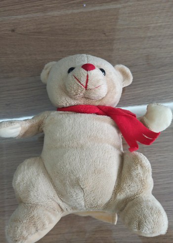 MASAL ANLATAN AYICIK - Görsel 2