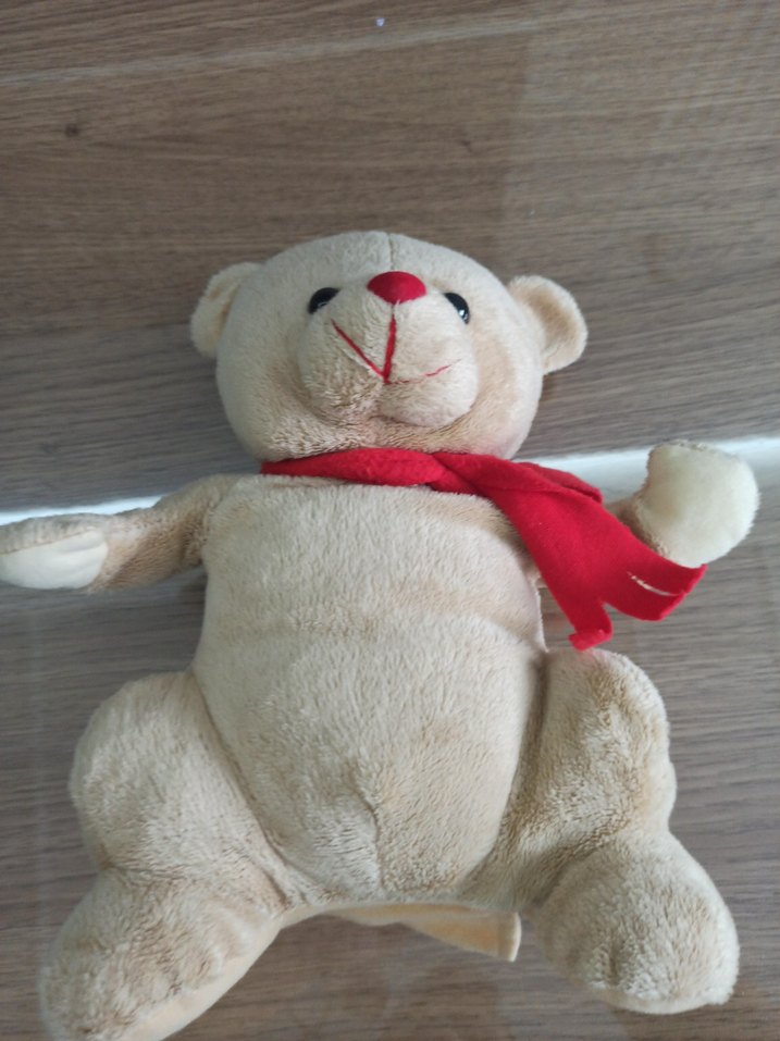 MASAL ANLATAN AYICIK - Görsel 2