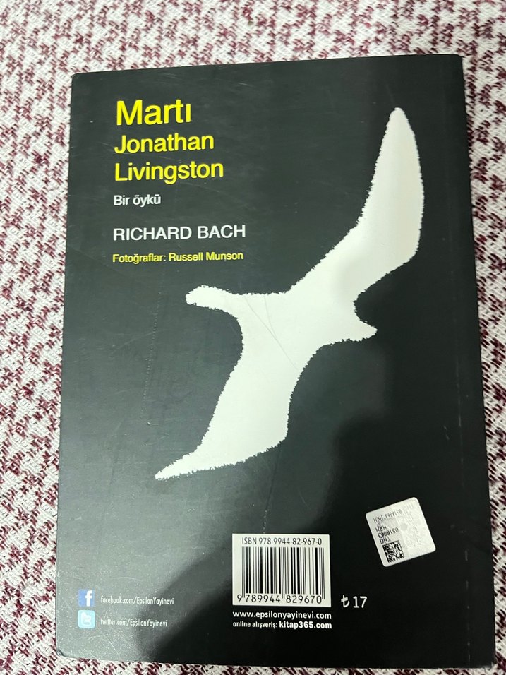 Martı Jonathan Livingston - Richard Bach - Görsel 2
