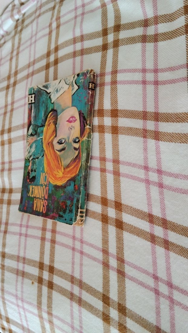 Sana Dönmek İçin Romanı, Elizabeth Seifert - Görsel 3