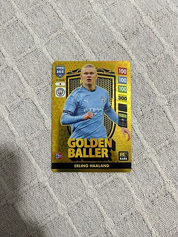 Erling Haaland