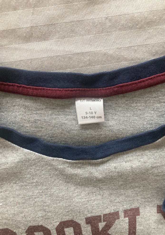 Gri Erkek Sweatshirt, Uzun Kollu, Baskılı - Görsel 2