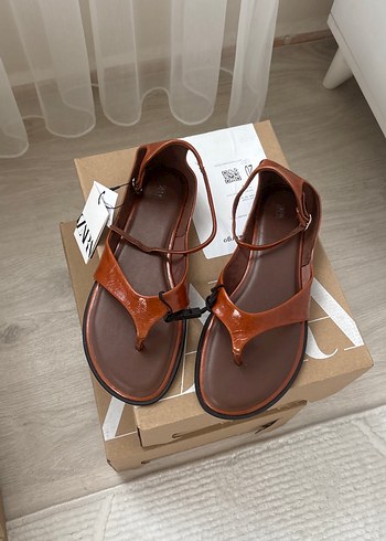 zara 37