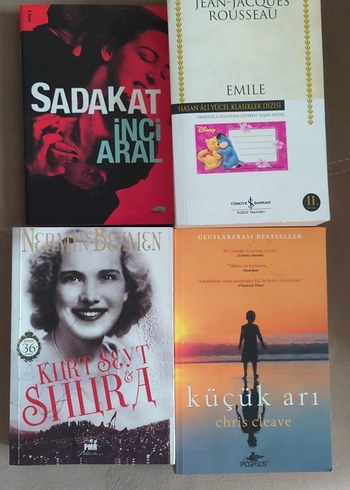 4 Kitap Seti: Sadakat, Emile, Kurt Seyt & Şura, Küçük Arı