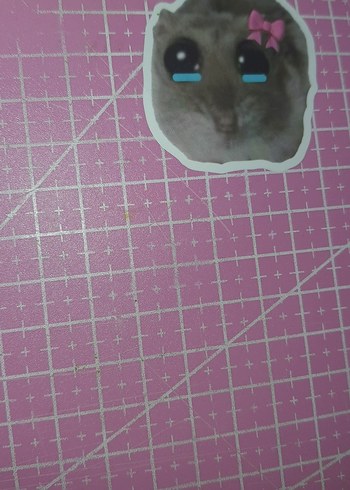 A4 kesme matı - Görsel 6