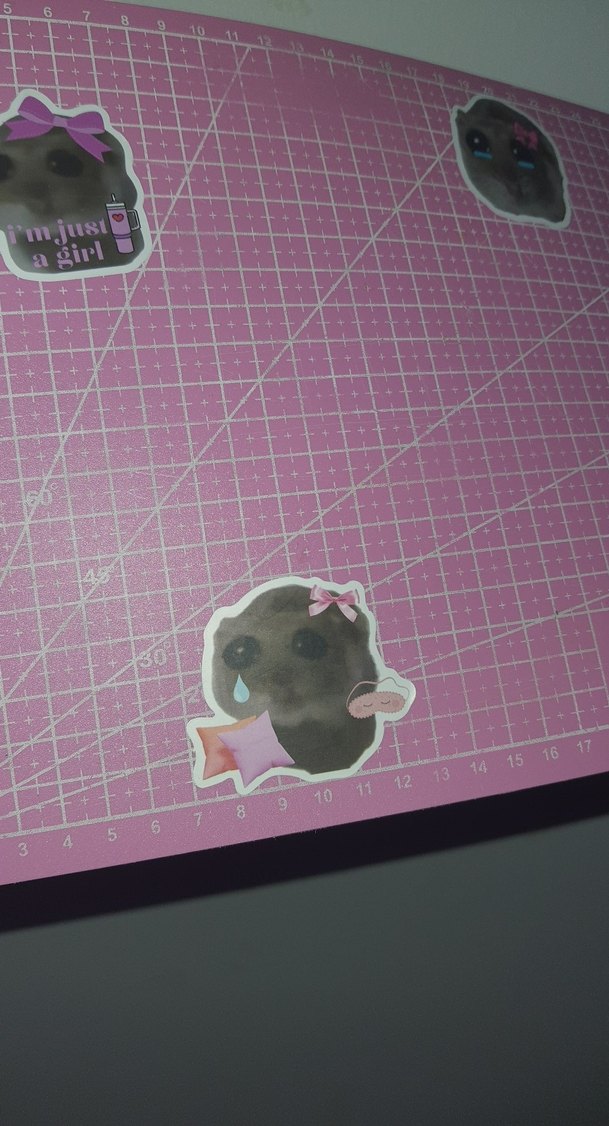 A4 kesme matı - Görsel 5