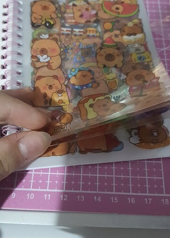 Beden CapyBaralı sticker ve not defteri