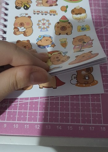 Beden Renk CapyBaralı sticker ve not defteri