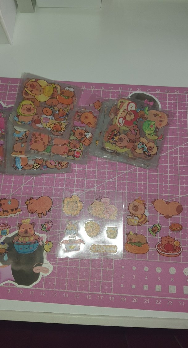 capybaralı sticker - Görsel 2