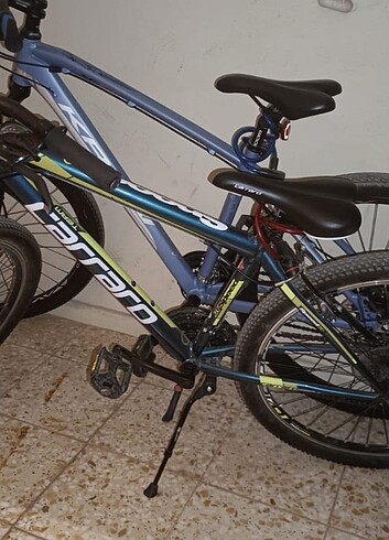  Beden BİANCHİ CARRARO SPEED 260