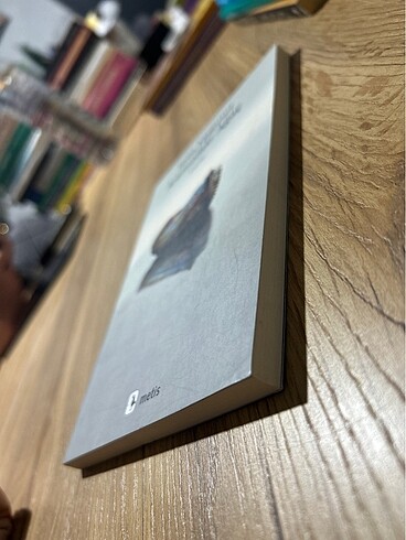 Aramızdaki Ağaç - Sema Kaygusuz - Görsel 3