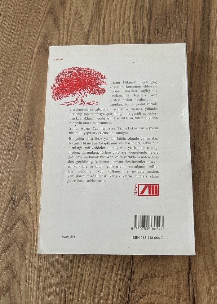 İlk Şiirler - Nazım Hikmet - Görsel 2