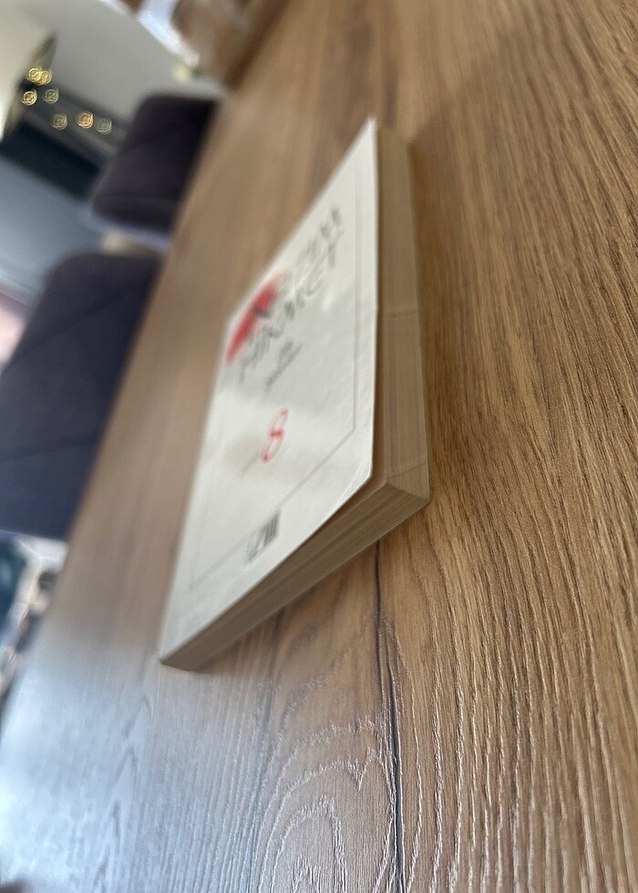 İlk Şiirler - Nazım Hikmet - Görsel 3